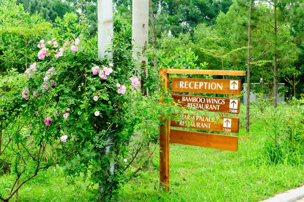 Flamingo Dai Lai Resort Ngoc Quang Exterior photo